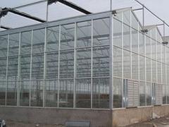 玻璃温室大棚建造公司 专业建造玻璃温室大棚图片|玻璃温室大棚建造公司 专业建造玻璃温室大棚产品图片由青州市北方园艺温室工程公司生产提供-