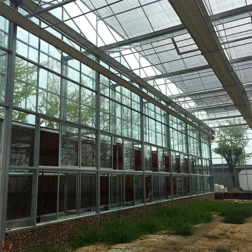 河北玻璃温室建造厂家 金沣 种植型温室大棚建造价格