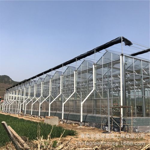 玻璃温室大棚养泥鳅 广西玻璃温室大棚 玻璃温室大棚特点